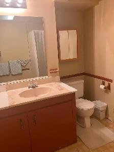 $1300 /month ALL IN! Furnished Basement Suite – Sherwood Park - Photo 10