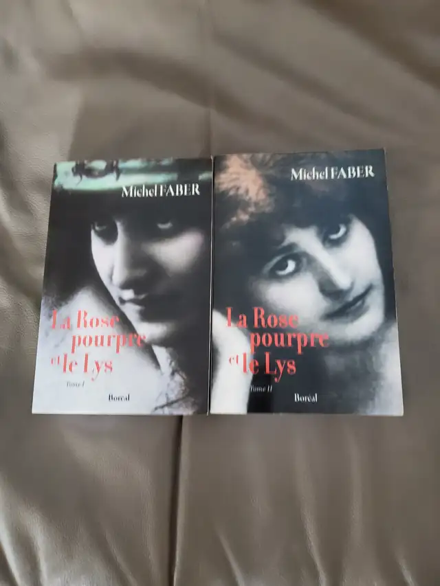 2BONS ROMANS NEUFS DE MICHEL FABER LA ROSE POURPRE: $10.00 LES 2
