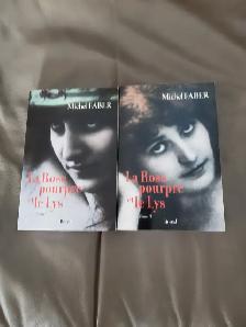 2BONS ROMANS NEUFS DE MICHEL FABER LA ROSE POURPRE: $10.00 LES 2