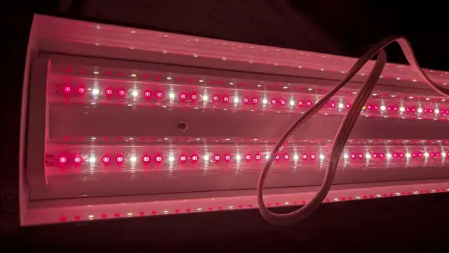 Growlight by GE - Indoor Plant Light - 24' - 40 Watt LED - Photo 5