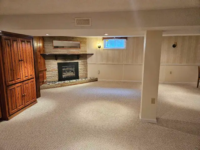 Roommate/Basement for rent - Photo 3