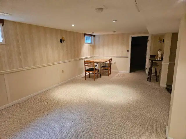 Roommate/Basement for rent - Photo 4