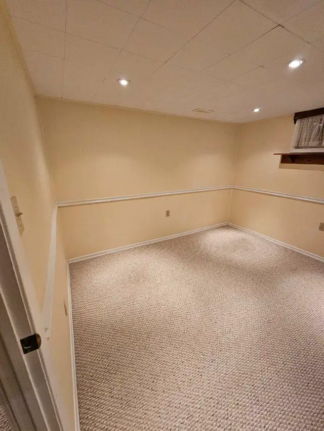 Roommate/Basement for rent - Photo 6