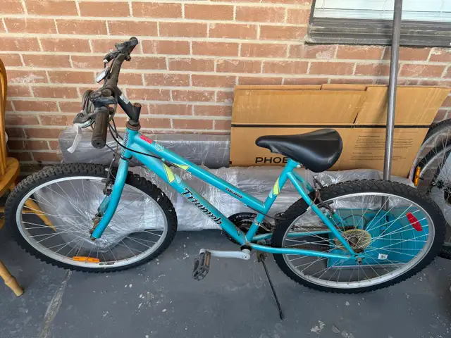 Triumph Mountain Bike