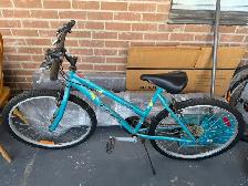 Triumph Mountain Bike