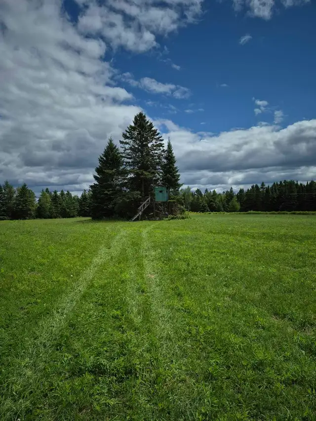 Emplacement pour la chasse aux chevreuils  à l'arbalète 2026