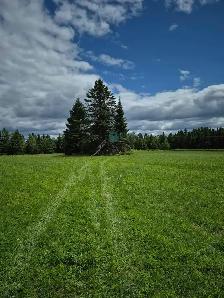 Emplacement pour la chasse aux chevreuils  à l'arbalète 2026