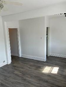 Bachelor apartment: New Edinburgh - separate kitchen - Photo 2
