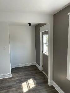 Bachelor apartment: New Edinburgh - separate kitchen - Photo 4