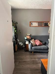 One bedroom apartment: New Edinburgh, not furnished - Photo 2