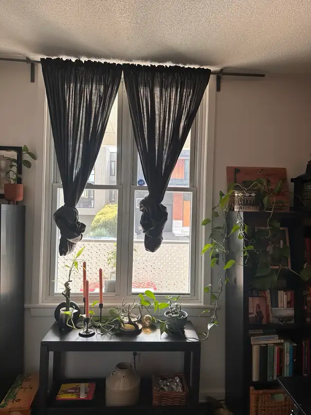 One bedroom apartment: New Edinburgh, not furnished - Photo 3