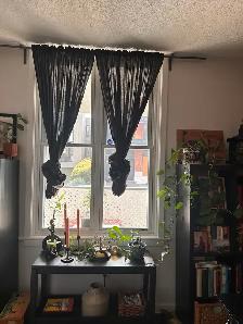 One bedroom apartment: New Edinburgh, not furnished - Photo 3