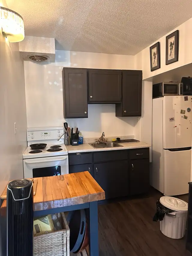 One bedroom apartment: New Edinburgh, not furnished - Photo 5