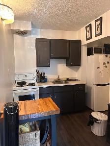 One bedroom apartment: New Edinburgh, not furnished - Photo 5