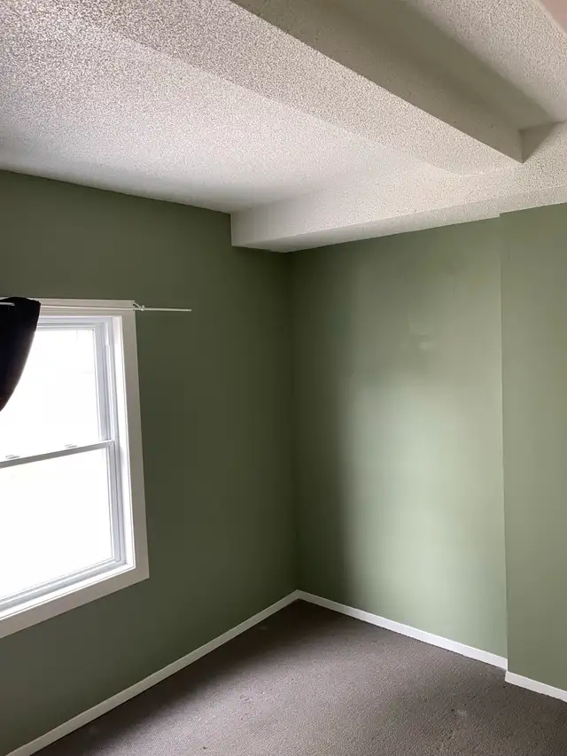 One bedroom apartment: New Edinburgh, not furnished - Photo 6