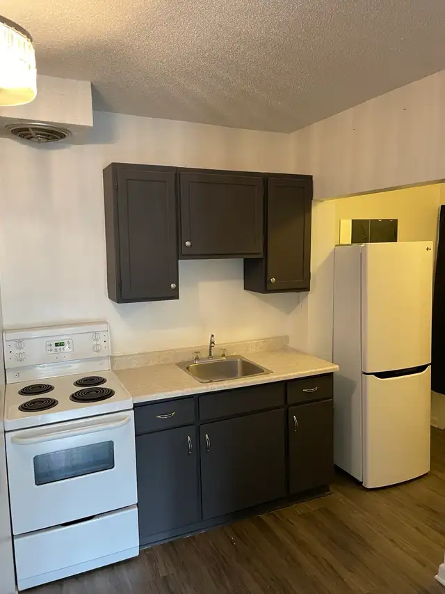 One bedroom apartment: New Edinburgh, not furnished - Photo 8