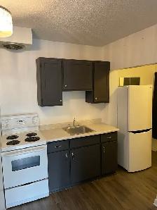 One bedroom apartment: New Edinburgh, not furnished - Photo 8