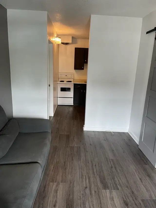 One bedroom apartment: New Edinburgh, not furnished - Photo 10