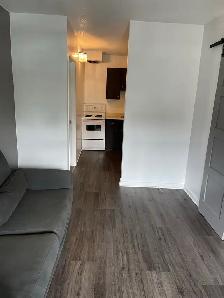 One bedroom apartment: New Edinburgh, not furnished - Photo 10
