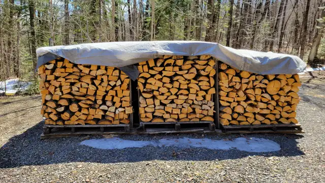 bois camping - Photo 2