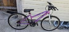 24 inch bike