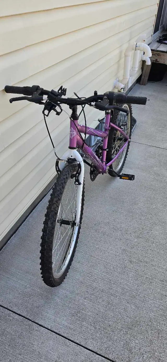 24 inch bike - Photo 2