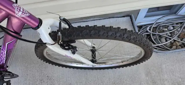 24 inch bike - Photo 9