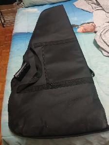 EVH style gig bag.