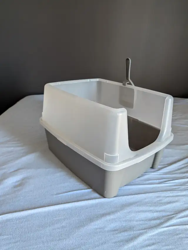 2 Chats opérés Tabby 2 ans et Himalayen croisé bientôt 3 ans - Photo 5