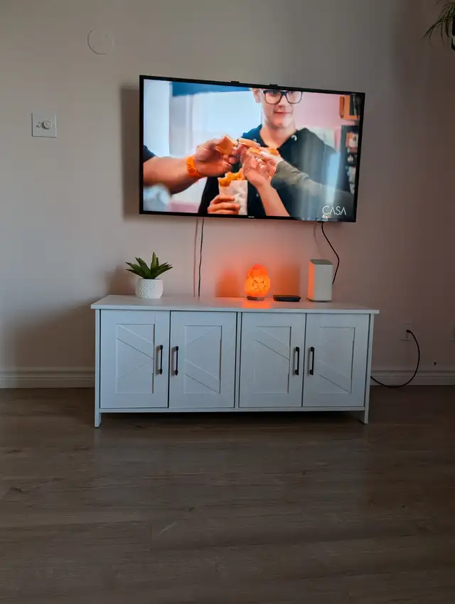 2 Chats opérés Tabby 2 ans et Himalayen croisé bientôt 3 ans - Photo 6