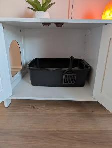 2 Chats opérés Tabby 2 ans et Himalayen croisé bientôt 3 ans - Photo 7