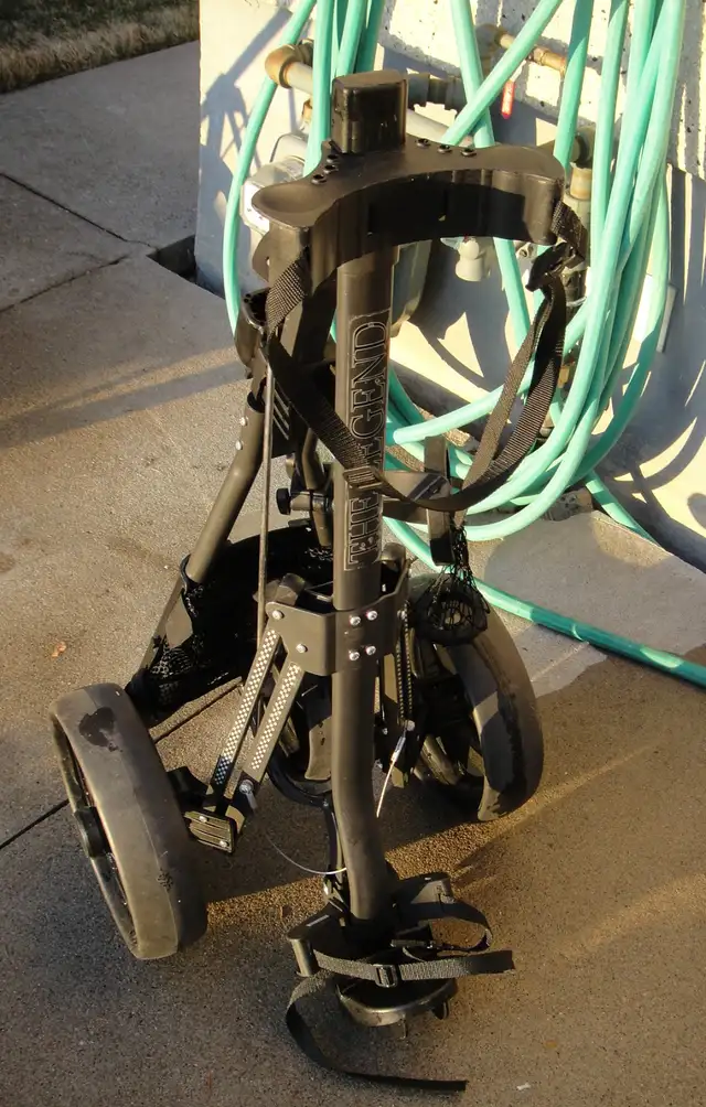 ARNOLD PALMER GOLF CART - Photo 3