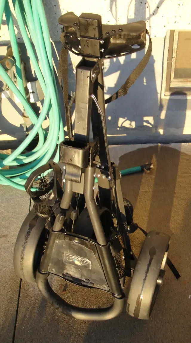 ARNOLD PALMER GOLF CART - Photo 4