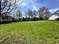 LAWNCARE - Photo 2