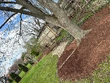 LAWNCARE - Photo 3