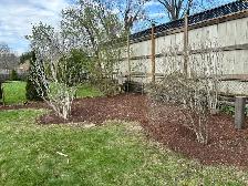 LAWNCARE - Photo 4