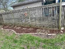LAWNCARE - Photo 5