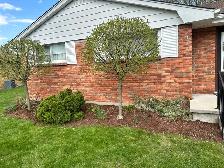 LAWNCARE - Photo 6