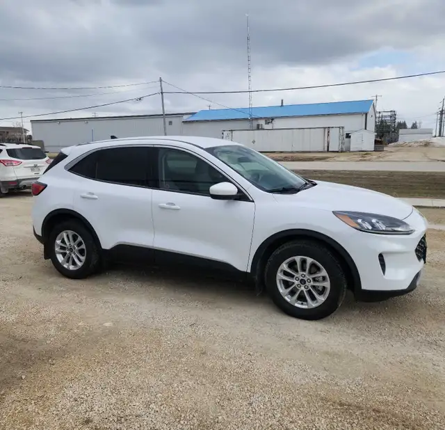 2020 Ford Escape SE - Photo 2