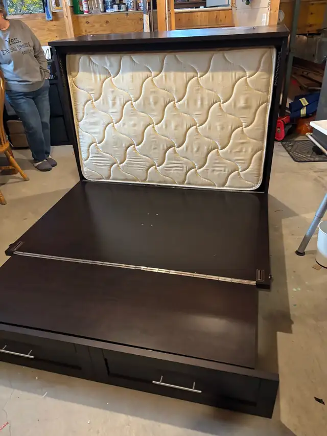 Murphy Bed - Photo 5