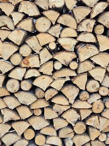 Poplar Firewood, 120$/Cord, No Delivery