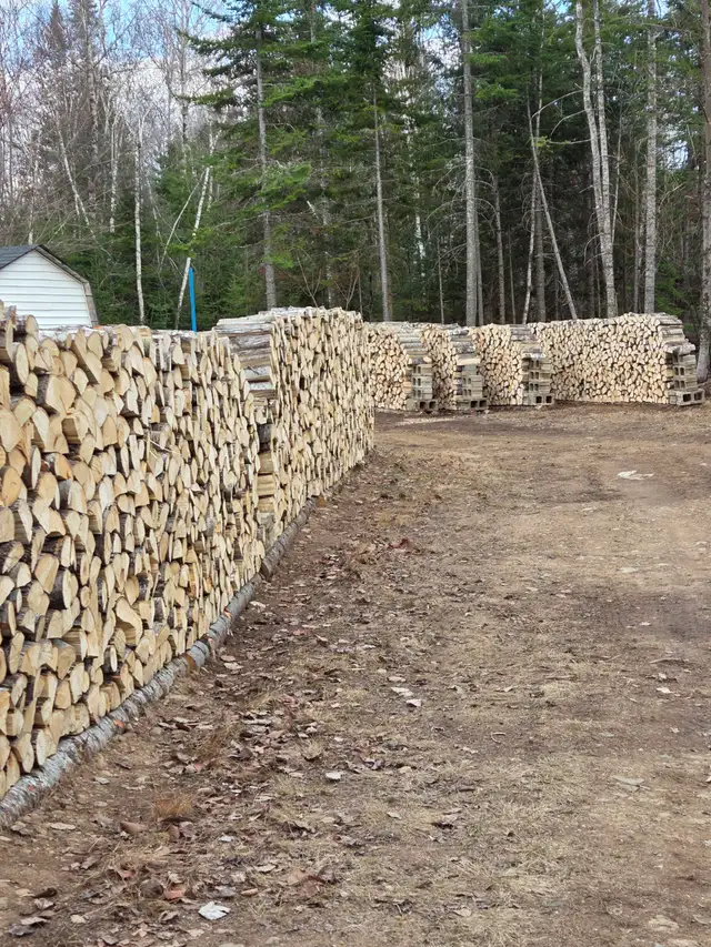 Poplar Firewood, 120$/Cord, No Delivery - Photo 3