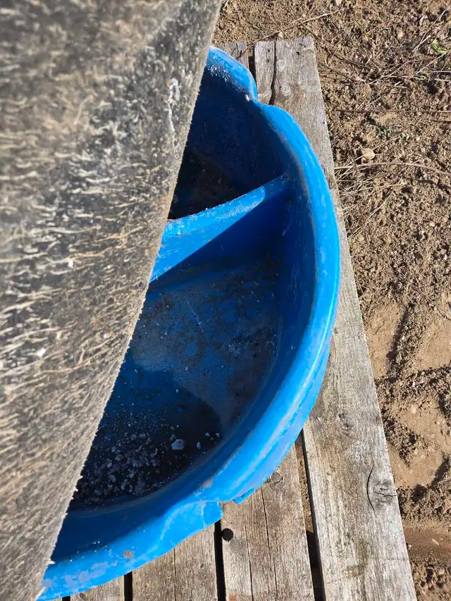 mineral feeder - Photo 2