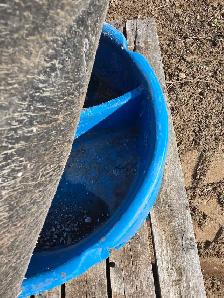 mineral feeder - Photo 2