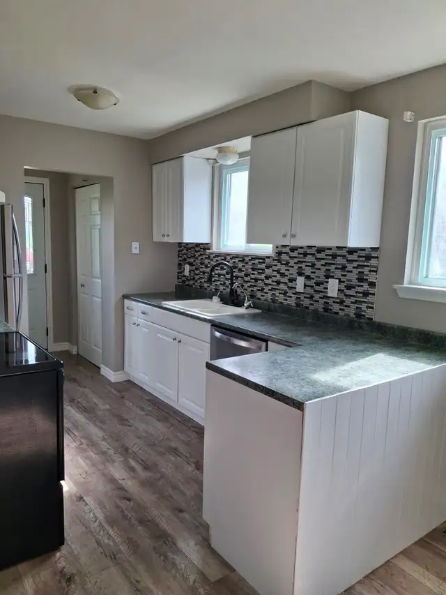 4 Bedroom 2 Washroom House Available Immediately in Woodstock - Photo 2