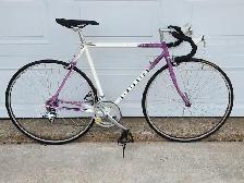 1989 Centurion Le Mans 14 Speed Vintage Road Bike