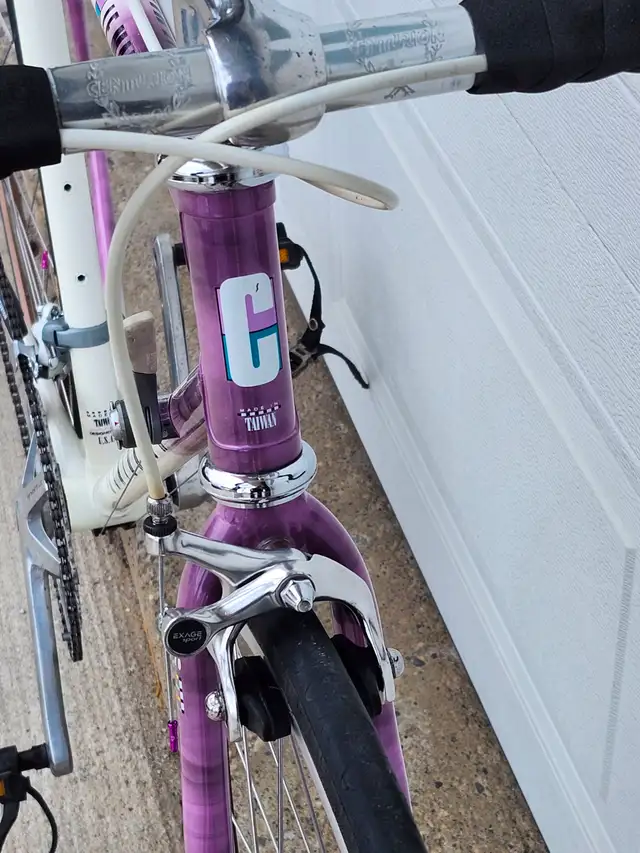 1989 Centurion Le Mans 14 Speed Vintage Road Bike - Photo 8