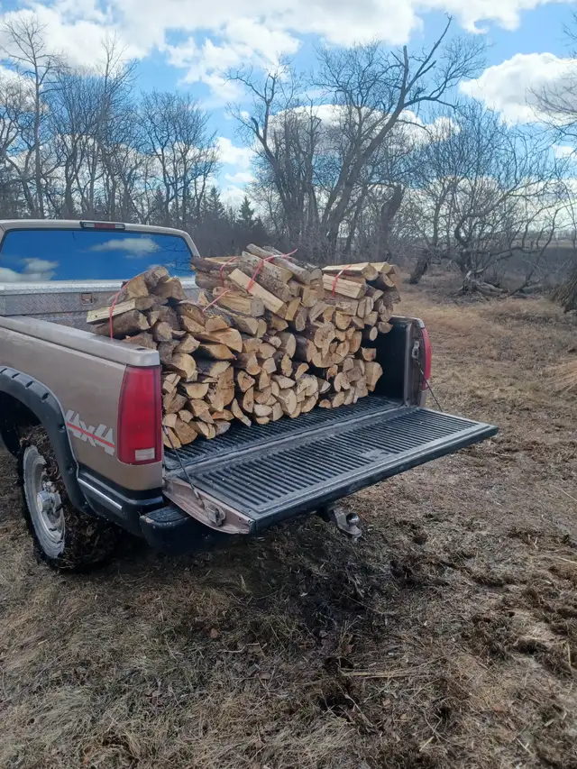 Firewood