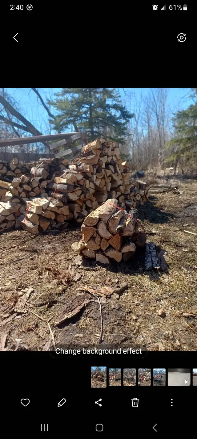 Firewood - Photo 2