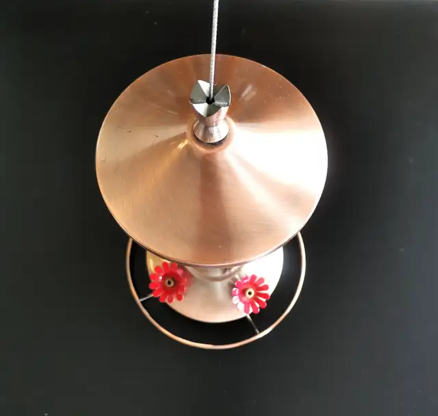 Copper Panorama Seed Wild Bird Feeder - Photo 4